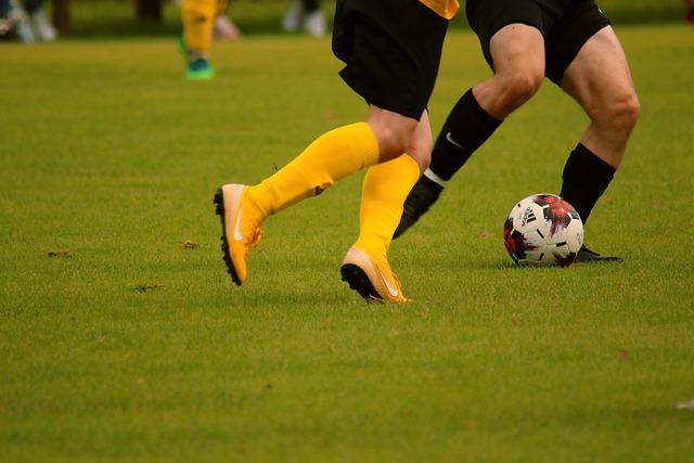 健康信息上 健康信息上