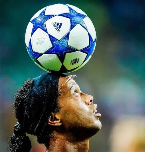 这种期待的 这种期待的